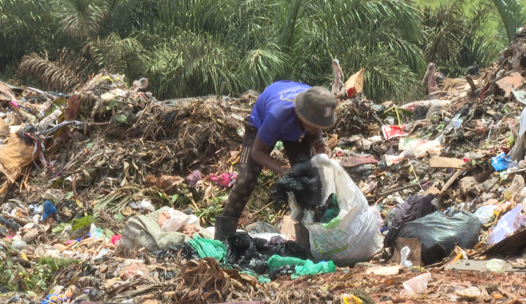 img 20260105 093659 804